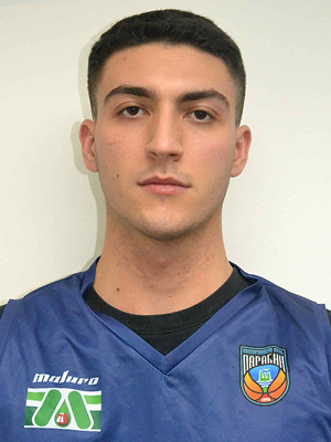 8_veljko_ostojic